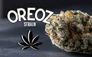 Oreoz Strain