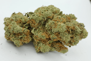  Lemon Cherry Gelato Strain