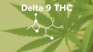 Delta 9 THC 