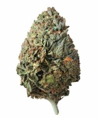 Berry Pie
