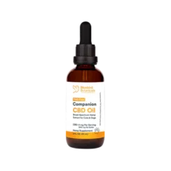 CBD Oil for Pets