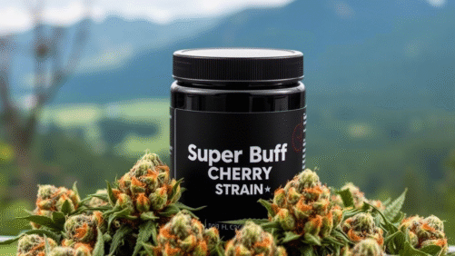 A black jar, Super Buff Cherry Strain is written on it, with cannabis weeds around