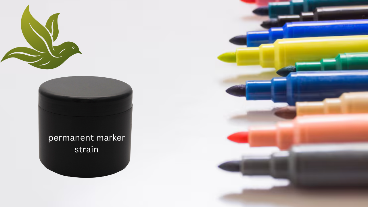 Permanent Marker Strain