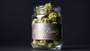 Glass jar having Apple Runtz strain weed in it