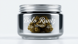 Bolo Runtz Strain