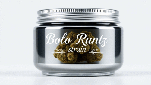 Bolo Runtz Strain
