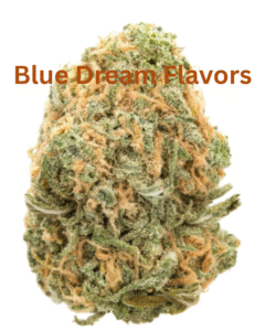 Blue Dream Bud Strain
