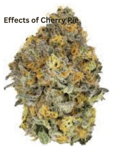 Cherry Pie Strain