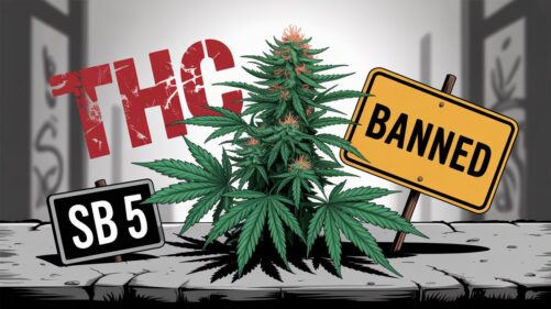 SB 5