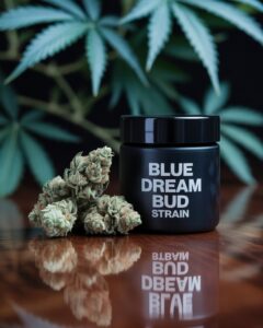Blue Dream Bud Strain
