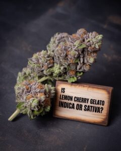 Lemon Cherry Gelato