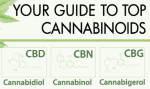 cbn vs cbd