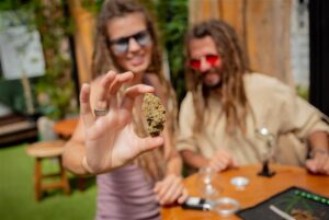 Hemp Image 2