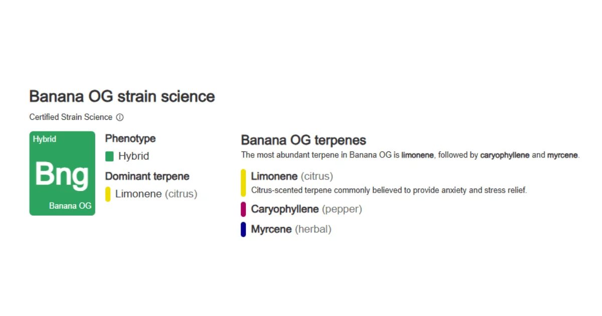 Banana OG strain science chart showing its hybrid phenotype, dominant terpene limonene with citrus notes, and secondary terpenes caryophyllene and myrcene with peppery and herbal aromas.