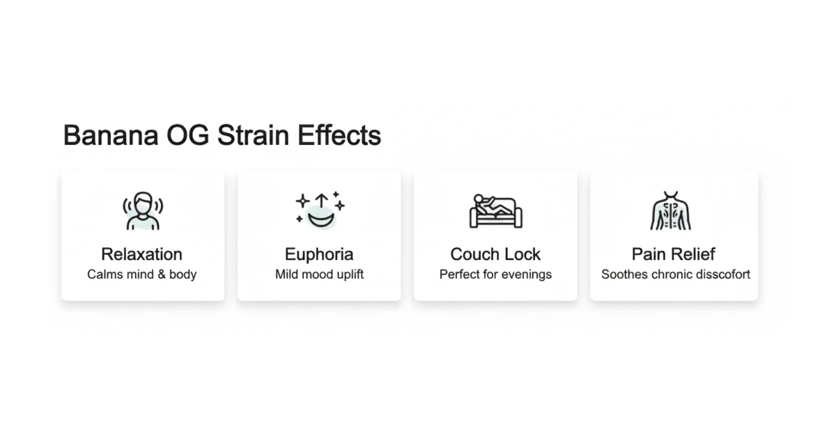 Visual representation of the Banana OC strain effects, highlighting its relaxing and euphoric qualities.