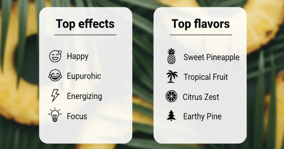 Infographic showing Pineapple Express strain's top effects—happy, euphoric, energizing, and focus—and its top flavors including sweet pineapple, tropical fruit, citrus zest, and earthy pine.
