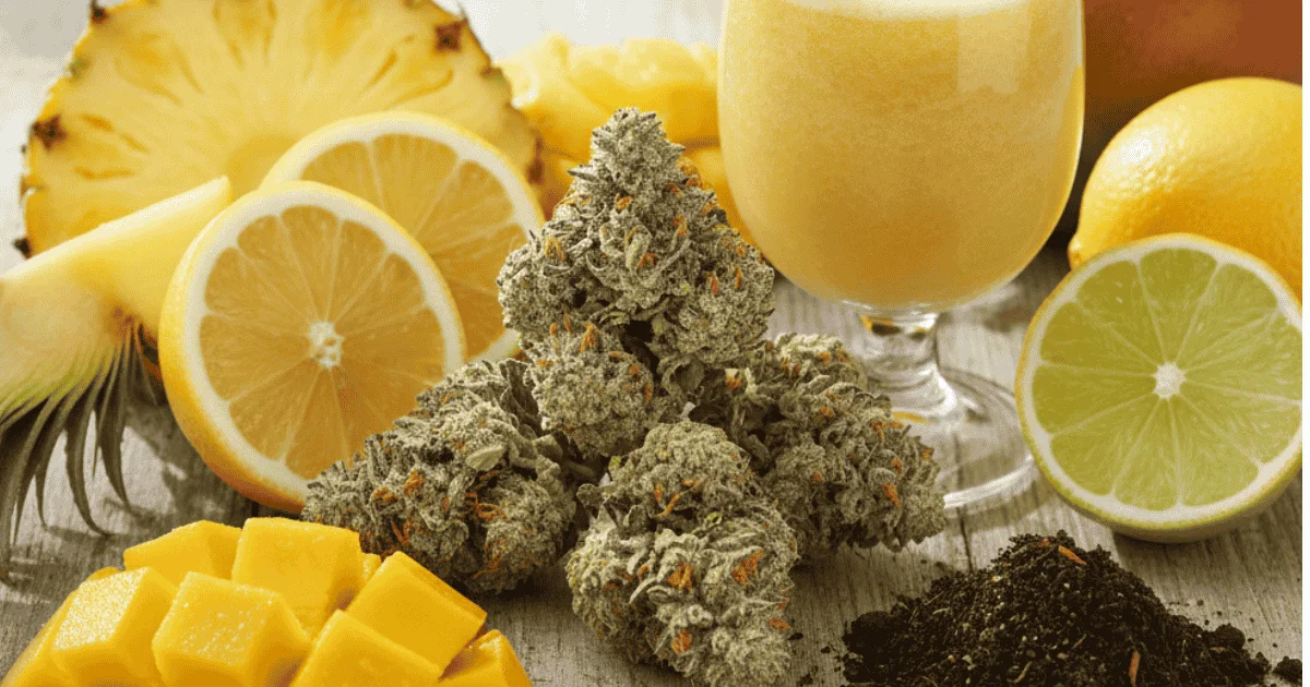 A glass of juice surrounded by a pineapple, a lemon, and various other colorful fruits on a wooden table depicting pineapple express strain taste profile.