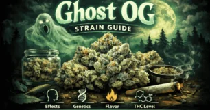 Ghost og strain full guide