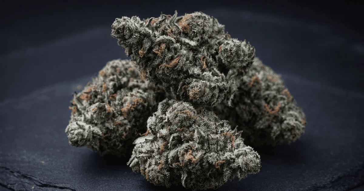 Black Ice weed bud closeup