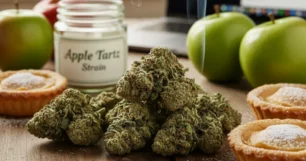 apple tartz strain review
