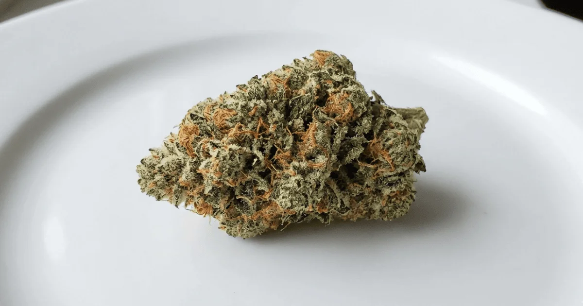 megan fox marijuana bud