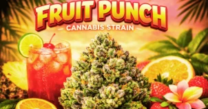 fruit punch cannabis strain overview