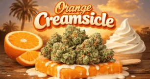orange creamsicle strain guide