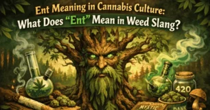 Ent Vocabulary - Jolly Green Life